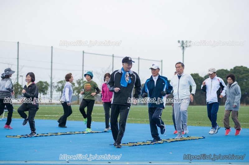 シニアウォーキングのプログラム