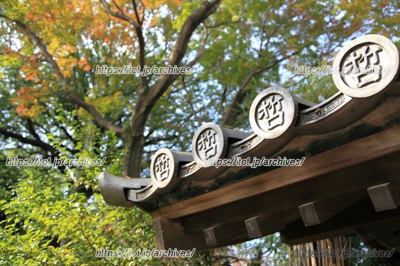 日本体育施設グループ(中野区運動施設および哲学堂公園指定管理者)　統括責任者　植竹薫さん