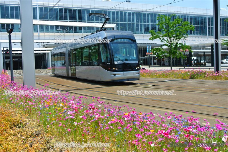 現在の富山駅北口の様子