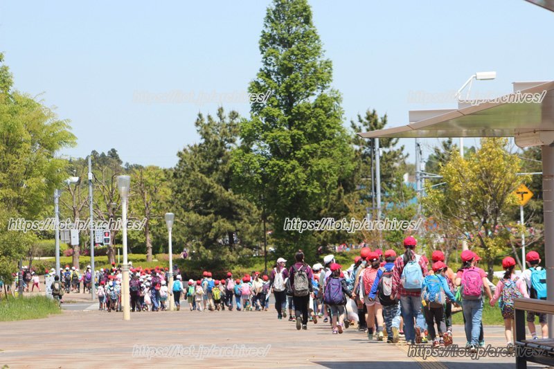 全校生徒で「牧の原公園」に向かう全校遠足
