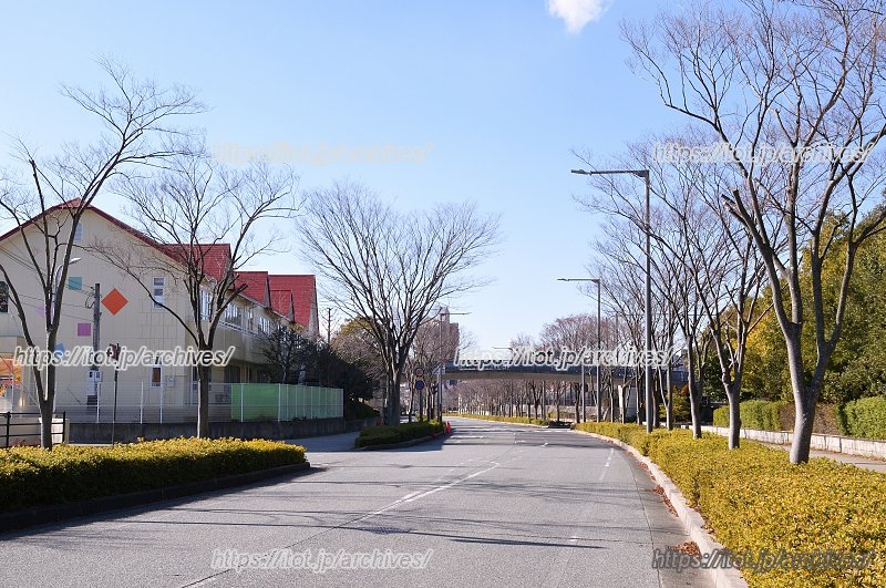 綺麗に整備された街並み