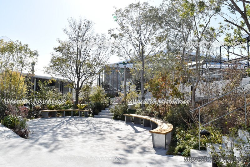 セントラルガーデン