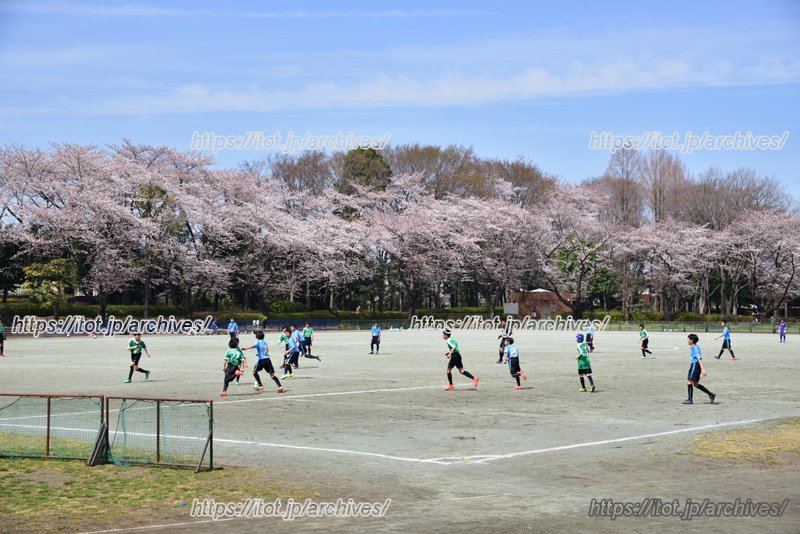 小平市立中央公園