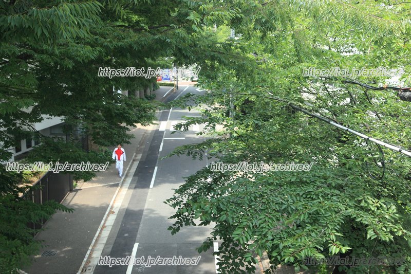 学校周辺の街並み