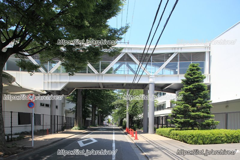 リニューアルされた校舎