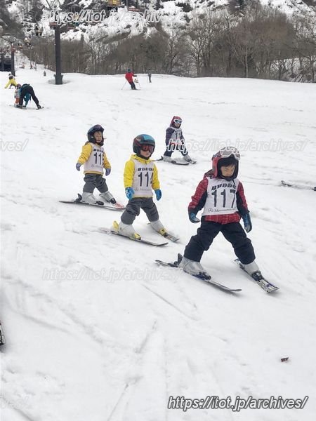 スポーツ教育の様子