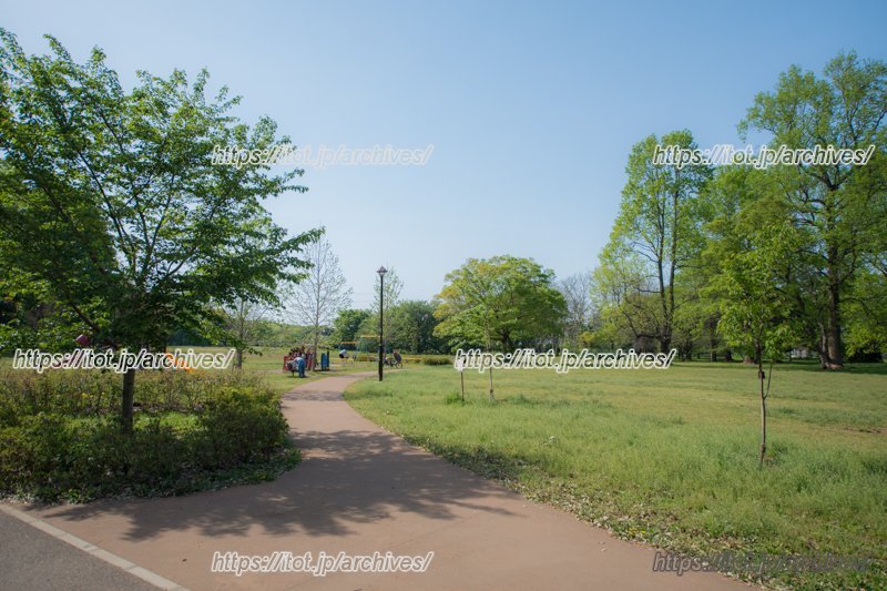 遊び、そして学びの場である「都立小金井公園」
