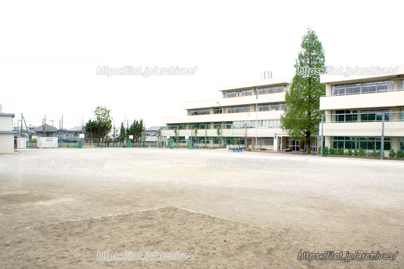 広々とした校庭