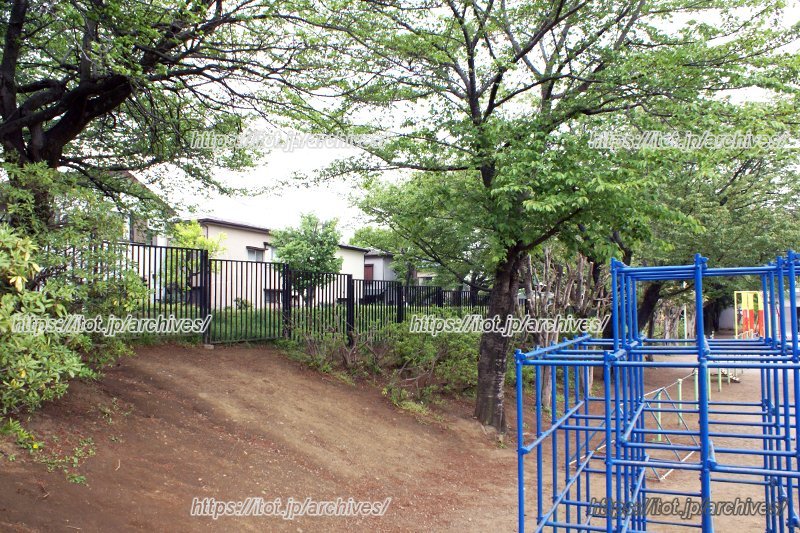 緑に囲まれた学校