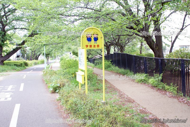 自然豊かな学校周辺の緑道