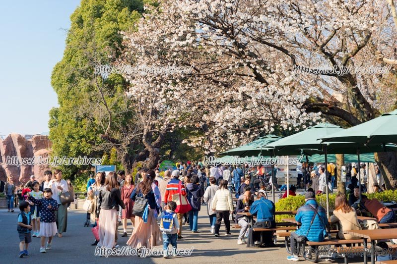 学校からも近い「上野動物園」