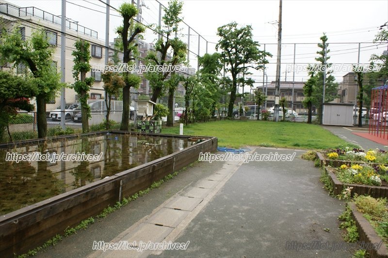 「デバンデス」が校庭の片隅につくった田んぼ