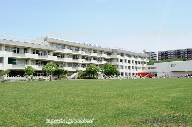 青々とした芝生がまぶしい校庭