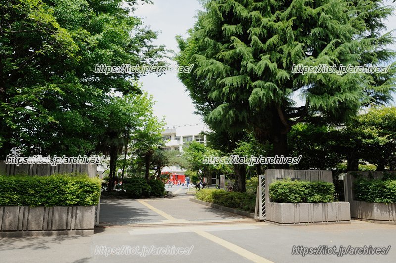 緑豊かな校舎の入口