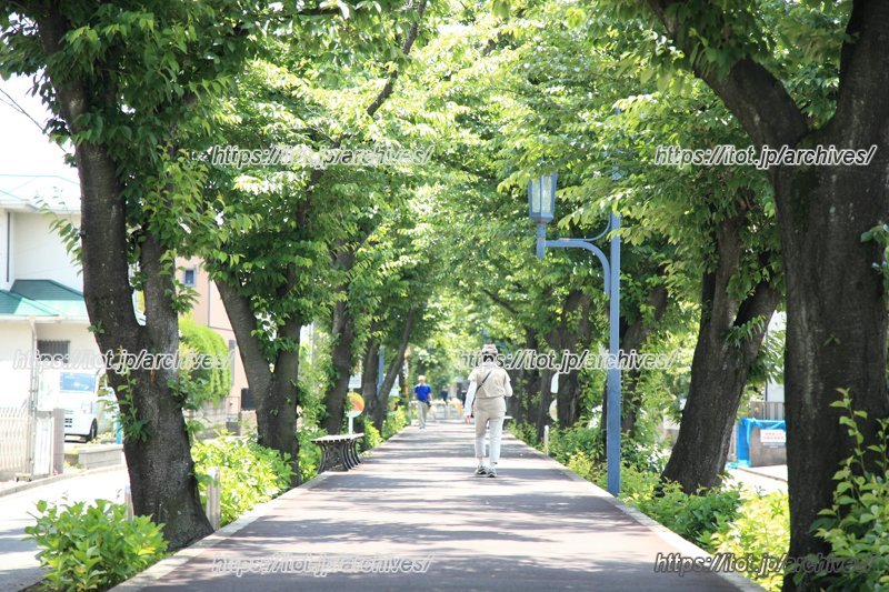 「花と緑の散歩道」