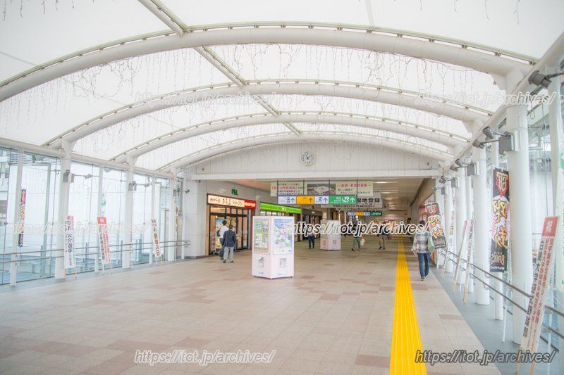中央自由通路（さくら道）