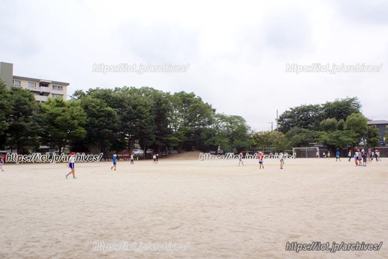 元気に走り回る子どもたち