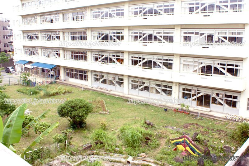 緑豊かな中庭の様子