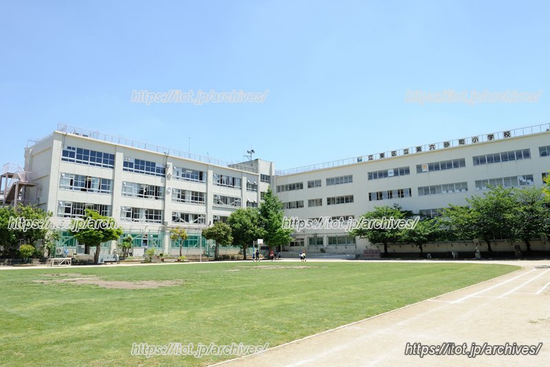 青々とした芝生が気持ちいい校庭