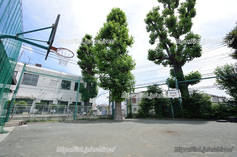 バスケットゴールのあるグラウンド