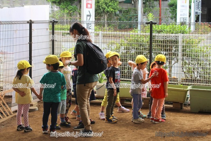 老人ホームに行くため整列する4才児クラス