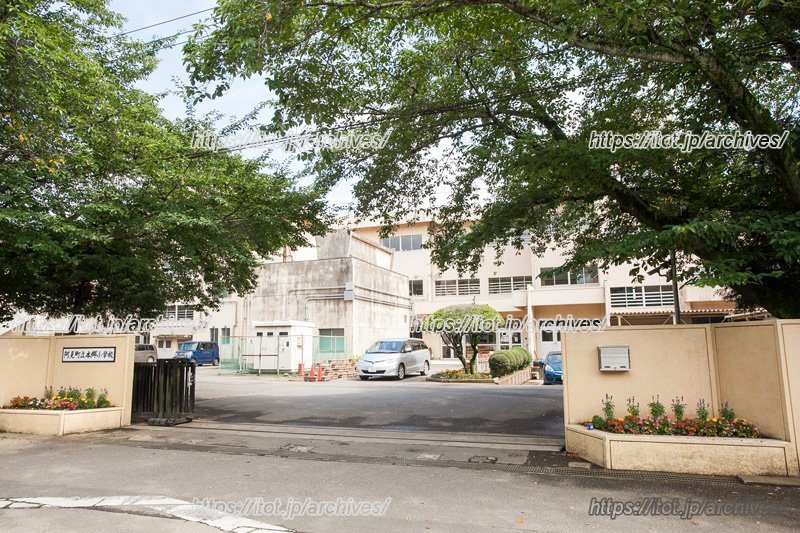 ケヤキの大木が見守る新生小学校／阿見町立本郷小学校 前島清校長先生、福井教頭先生