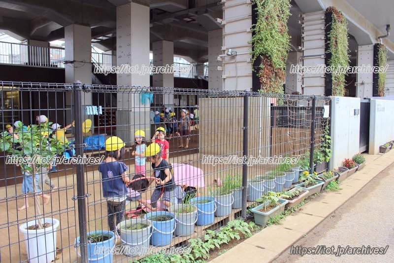 歩道から見る保育の様子