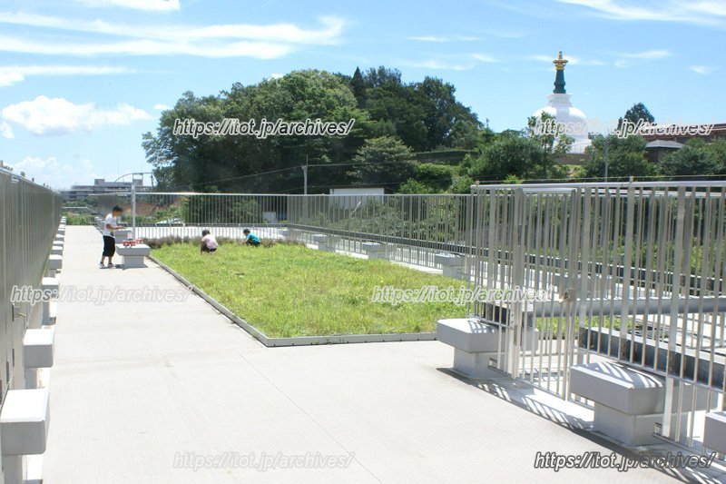 屋上の緑化スペース