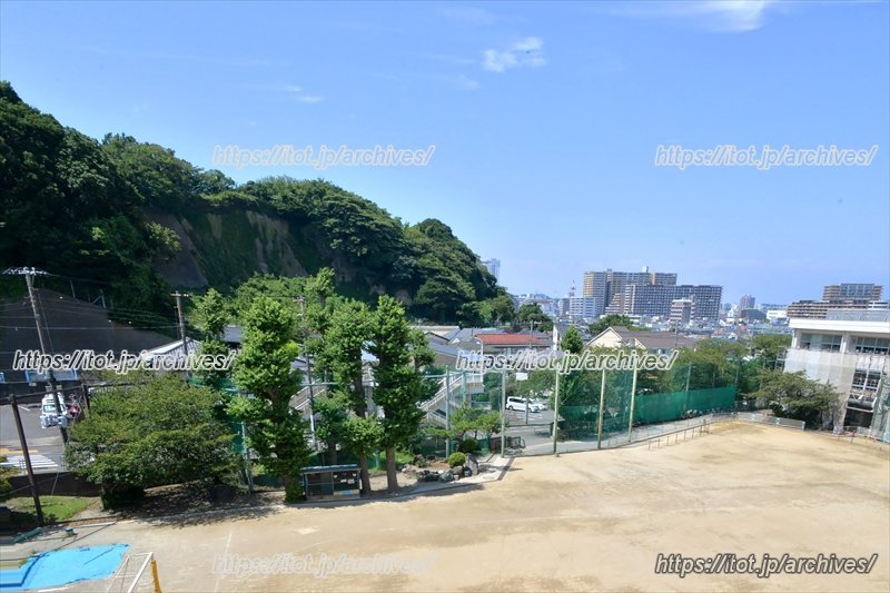 校舎からも緑豊かな景色が望める