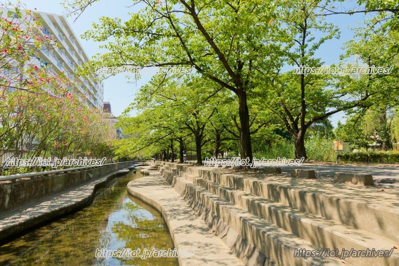 美しい川に寄り添う