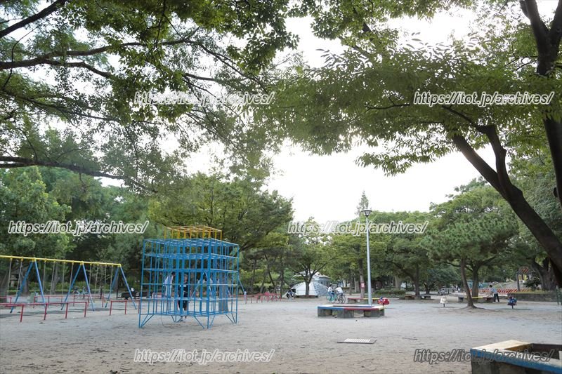 広々とした住吉公園