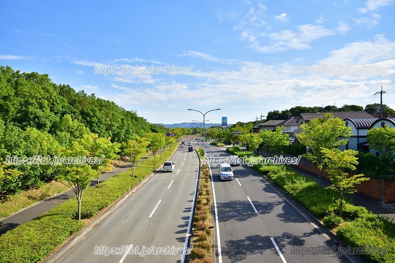 集会所付近から見た街並み
