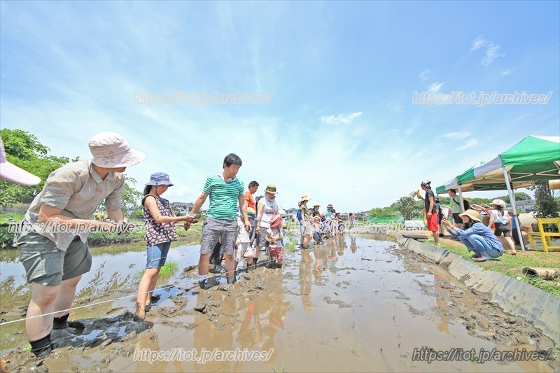自然とのふれあいを提供する／NPO法人くにたち農園の会 すがい まゆみさん