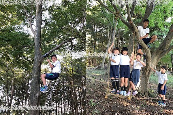 森の中で遊ぶ子どもたち