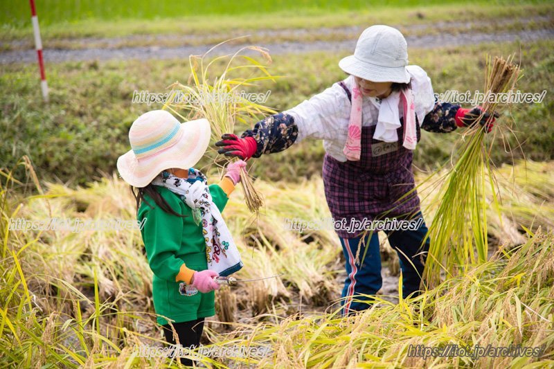 「自然体験プログラム」