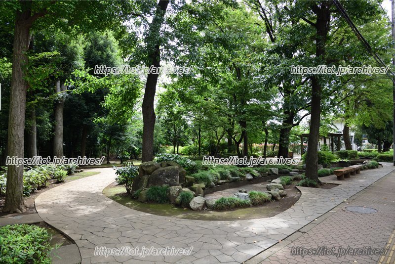 「谷津の森公園」