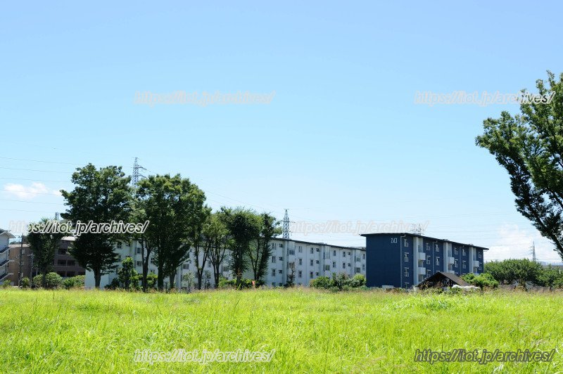 「多摩平団地」の再生は、長期的な視点や時代の流れを汲んだ課題に向き合い進められている