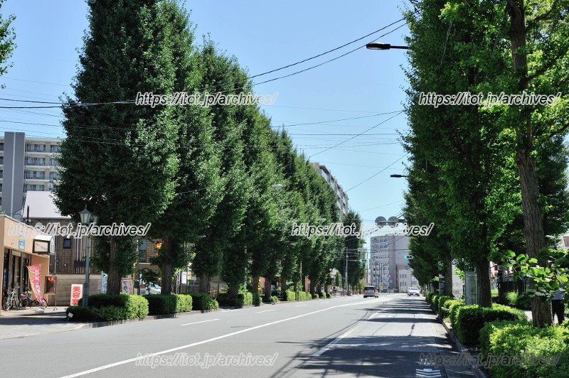 緑豊かな「多摩平団地」周辺の道路 緑豊かな「多摩平団地」周辺の道路