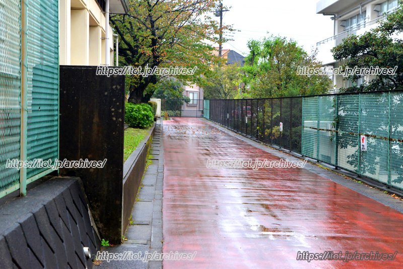 小学部、中学部間での授業の乗り入れ