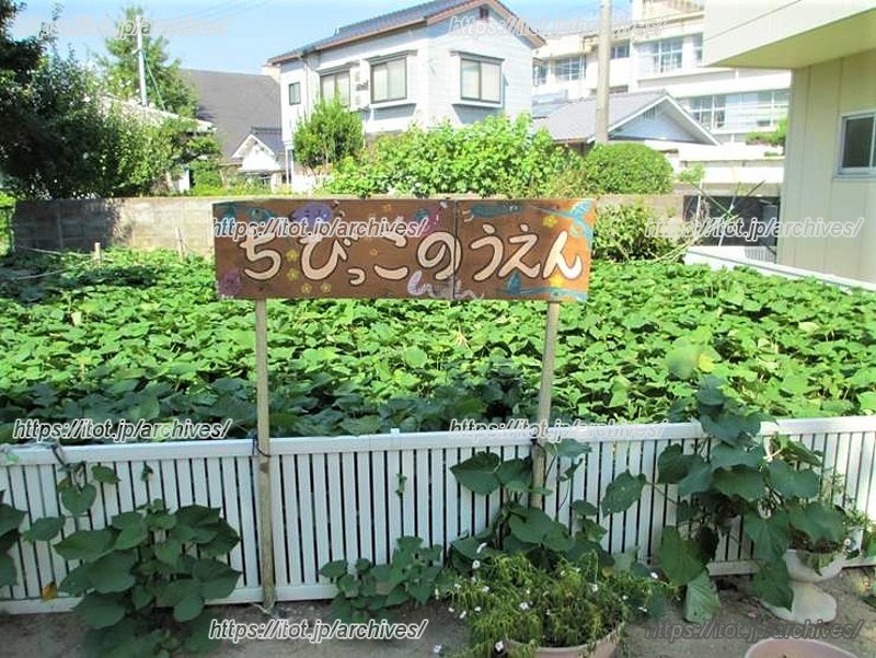 自然を体験する研究事業