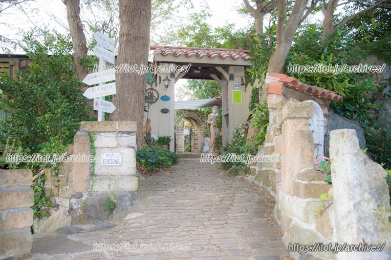 さくら坂VIVACE オーナー 後藤健一郎さん 