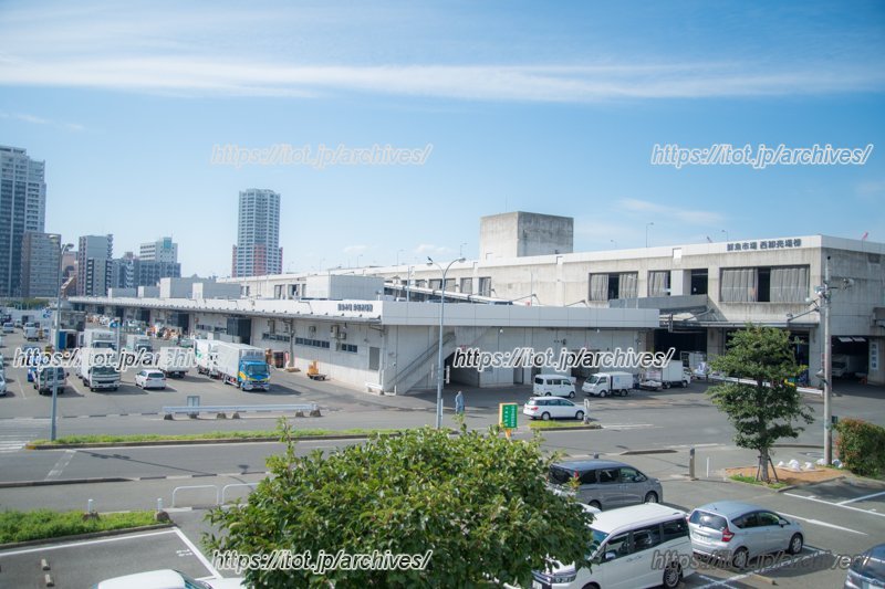 「長浜鮮魚市場」