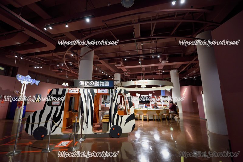 「からだの部屋」