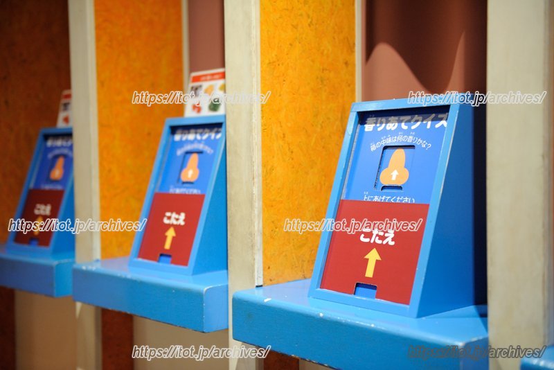 「からだの部屋」の香りあてクイズ