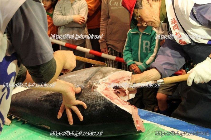 マグロの解体ショー