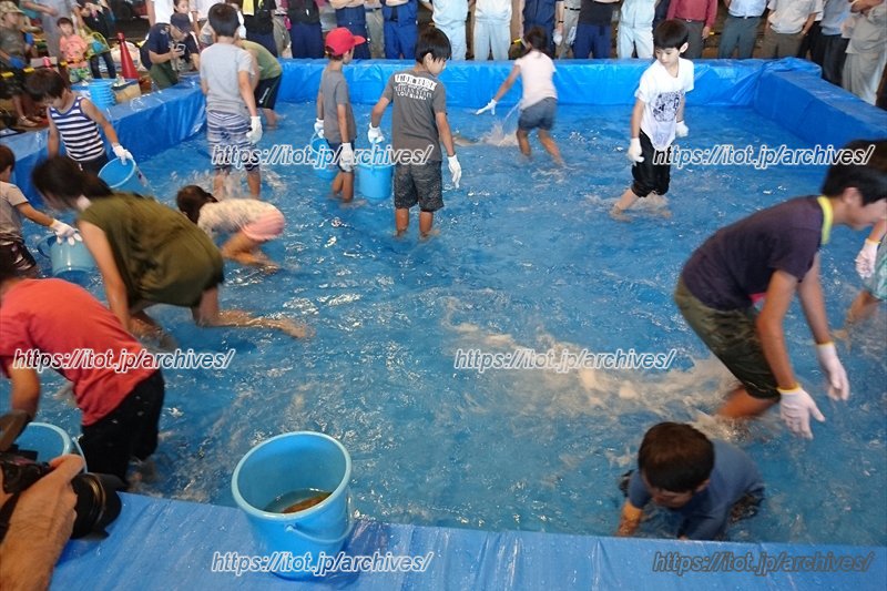 活魚つかみ取り