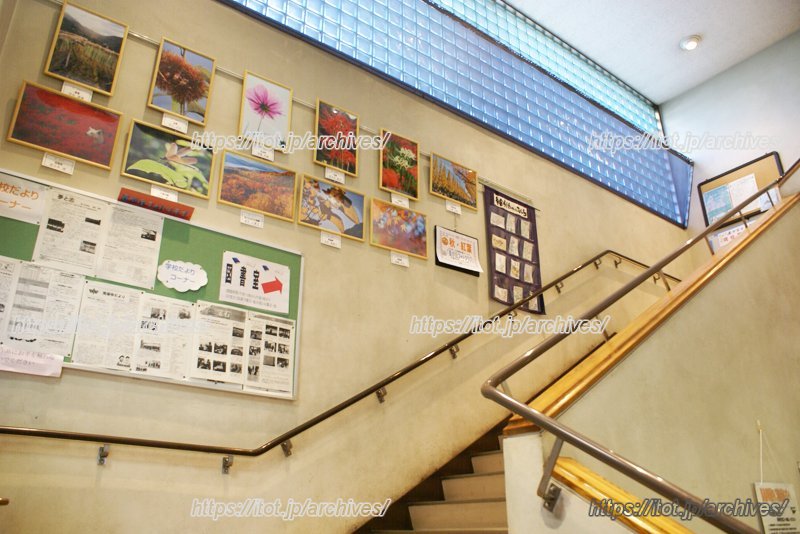 階段には地域の方が撮影した写真など作品が飾られている