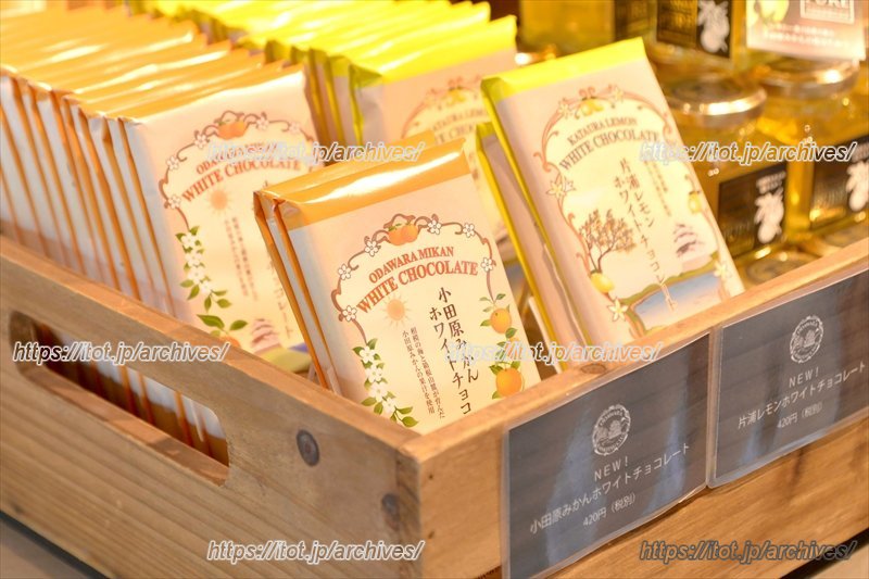 小田原みかんホワイトチョコレート