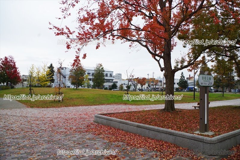 施設近くにある卸町公園