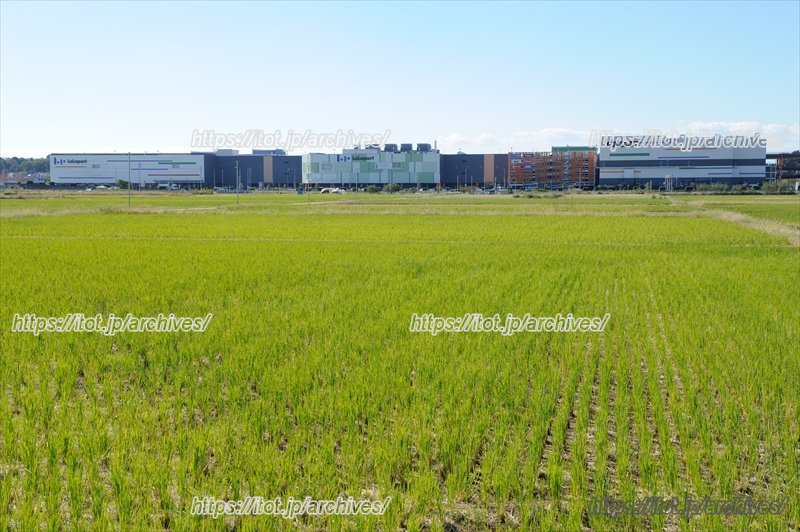 富士見市の魅力と、「シティゾーン」の将来像を富士見市まちづくり推進部の担当者にインタビュー！／富士見市まちづくり推進部 高橋一弥さん、新井健司さん